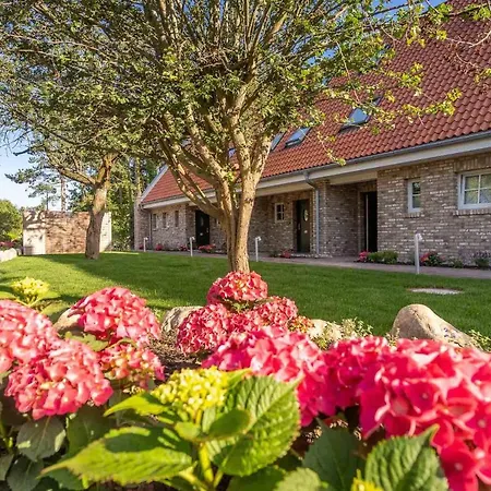 Haus Boehl Haus Boehl Levke - 6 Apartment *